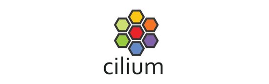 Installing Cilium with ArgoCD on GKE